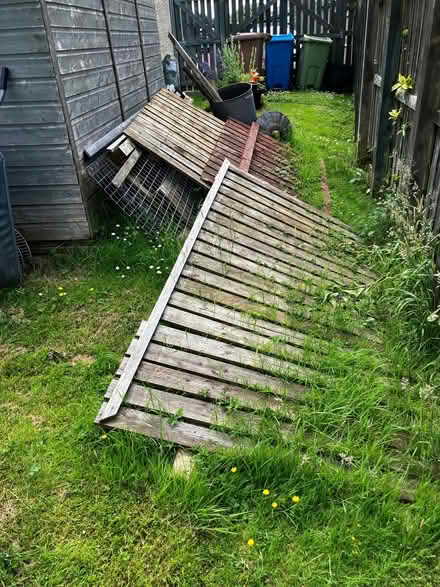 Photo of free Fencing and posts (Neilston G78) #2