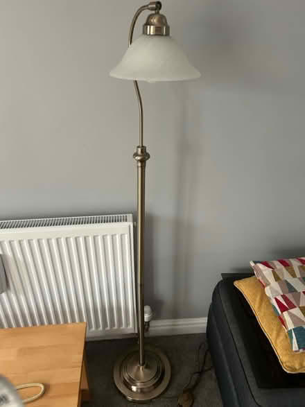 Photo of free Tall lamp (Woodcote RG8) #1