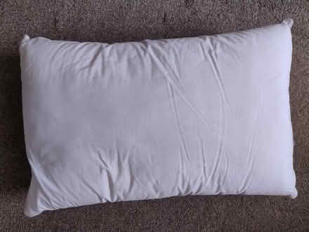 Photo of free Thick Dunelm pillow (Walderslade Bottom ME5) #1