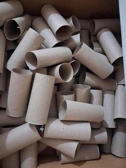 Photo of free Loo roll tubes (Littleover) #1