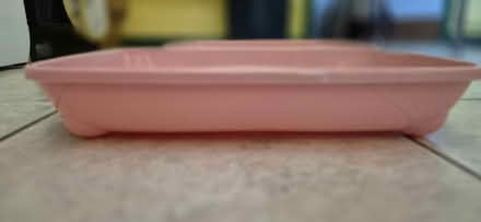 Photo of free Pink Kitten Litter Trays (University Area RG1) #2