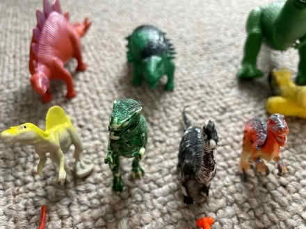 Photo of free 25 Mini Toy Dinosaurs (Chigwell IG7) #4