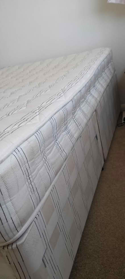 Photo of free Small double divan bed (Shrewsbury SY5) #4