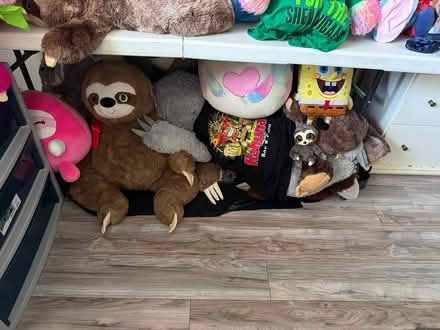 Photo of free Sloth stuffed animal (Orlando) #3