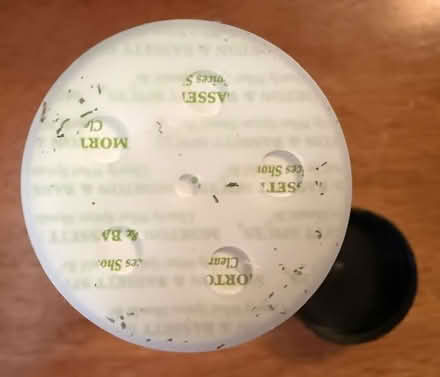 Photo of free Dill Weed 22g jar (Cupertino - DeAnza and 280) #2