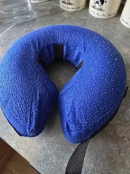 Photo of free Inflatable dog cone (Portchester PO16) #2
