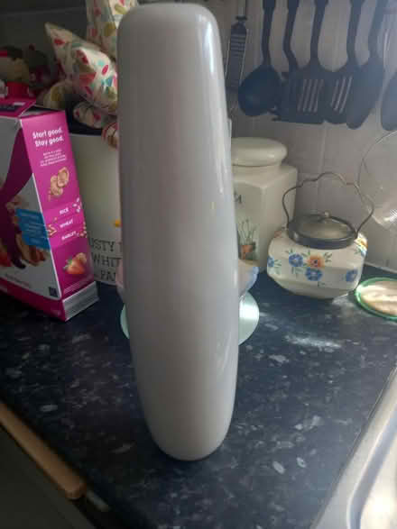 Photo of free Vase (Loughborough LE11) #1