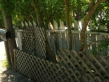 Photo of free gardener’s delight (san rafael/santa venetia) #1