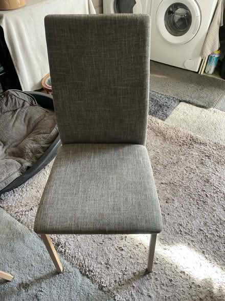 Photo of free Dining Chairs x 4 (Wrexham) #2