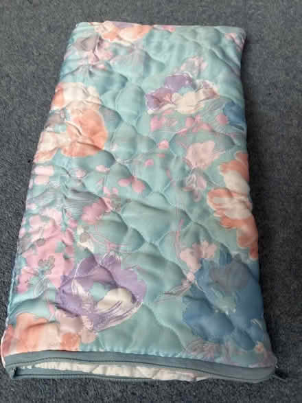 Photo of free Padded bag (Hala LA1) #1