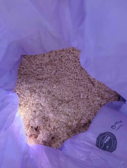 Photo of free Wood shavings (Loudwater HP10) #2