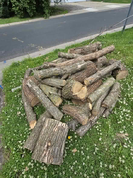 Photo of free Firewood logs (6522 eagle lake dr. osseo) #1
