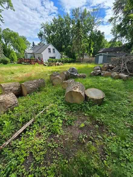 Photo of free Firewood logs (6522 eagle lake dr. osseo) #4