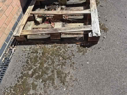 Photo of free Wooden pallets (Charnwood LE7) #1