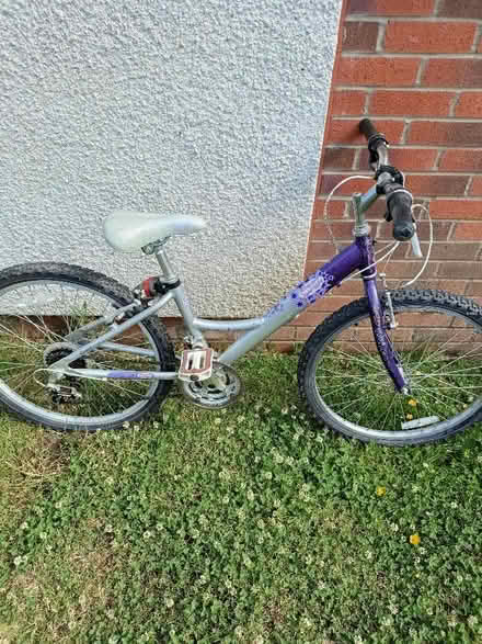 Photo of free Girls bike (Gorebridge EH23) #1