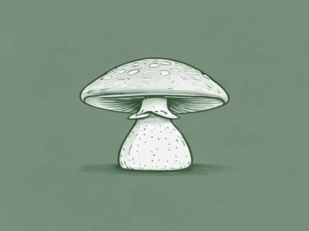 Photo of free Mushroom boxes (Cliff Hill CV34) #1