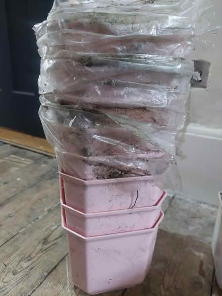 Photo of free Plant pots (SW16) #1