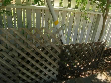 Photo of free gardener’s delight (san rafael/santa venetia) #2