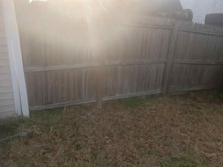 Photo of free fence and posts (Largo near Ulmerton & Starkey) #1
