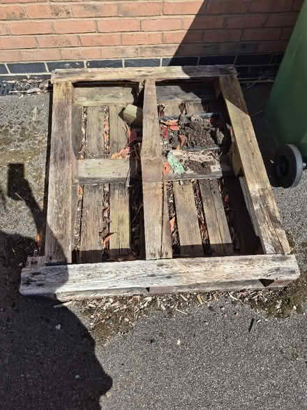 Photo of free Wooden pallets (Charnwood LE7) #3