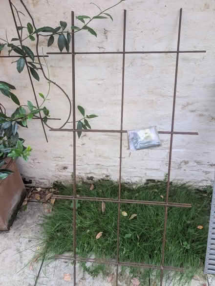 Photo of free Trellis (Bethnal Green E2) #1