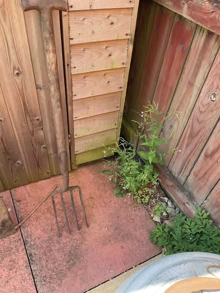 Photo of free Garden fork (Monkseaton NE25) #1