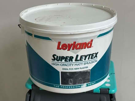 Photo of free Masonry and Plaster Paint (Trinity EH6) #1