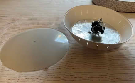 Photo of free Retro ceiling light from 80's (Western Dearborn) #3