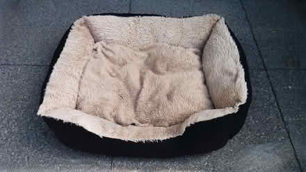 Photo of free Dog bed (Old Farm Park MK7) #1