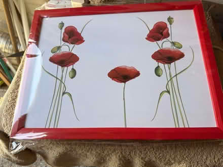 Photo of free Red laptop tray (Newlyn TR18) #1
