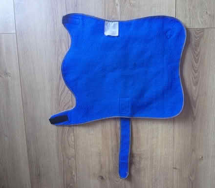 Photo of free Dog leads and coat (Winton BH9) #3