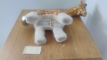 Photo of free Toy battery operated giraffe (Bathwick BA2) #2