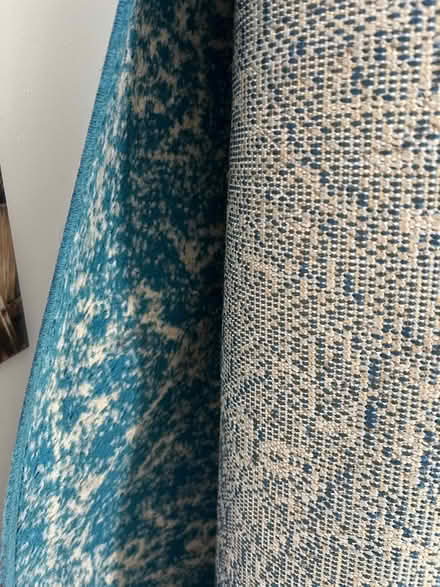 Photo of free Large Rug (Lizard Point NE34) #1