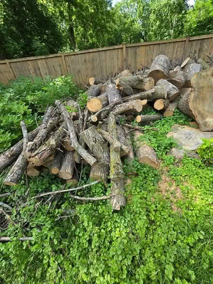 Photo of free Firewood logs (6522 eagle lake dr. osseo) #2