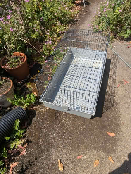 Photo of free Temporary indoor rabbit cage (Headingley LS6) #1