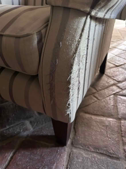 Photo of free Laura Ashley armchair (Chapleton EX37) #2