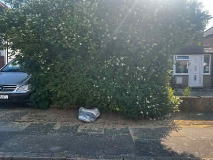 Photo of free Nice Clothes for Girls S XS 11/13yo (London) #2