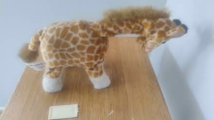 Photo of free Toy battery operated giraffe (Bathwick BA2) #1