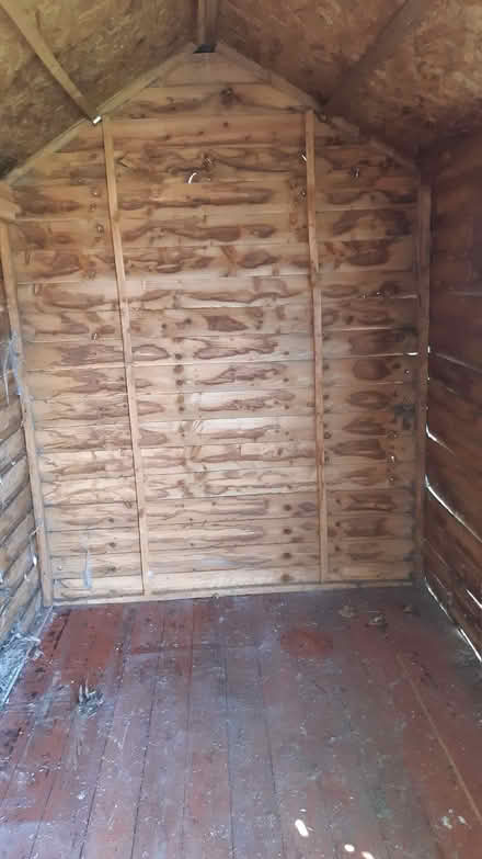 Photo of free Garden shed (Tolworth KT5) #1