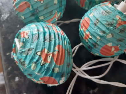 Photo of free String of lights (Davidson's Mains EH4) #2