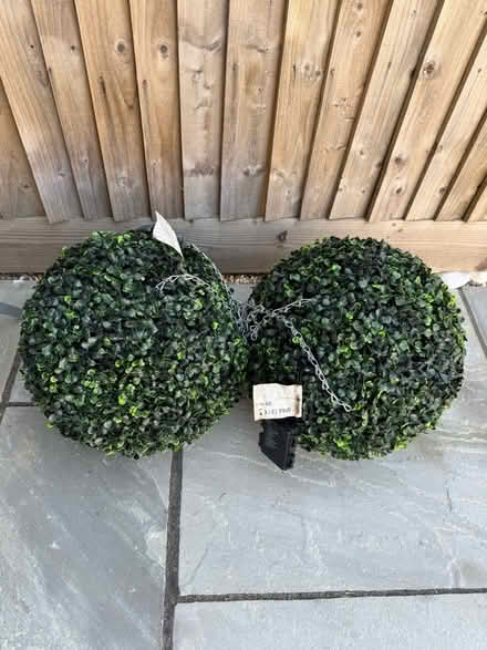 Photo of free Topiary Balls (Reading West RG1) #1