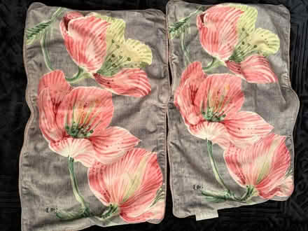 Photo of free Cushion covers 2 (CR0) #1