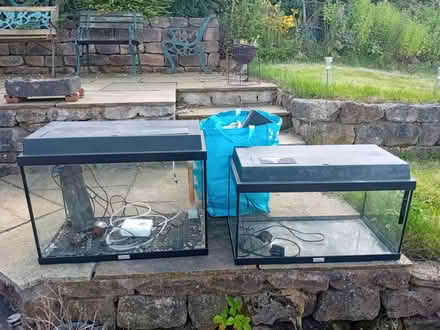 Photo of free 2 glass tropical fish tanks (Caton Green, LA2) #1