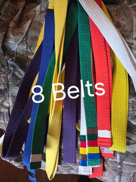 Photo of free Taekwondo Dobok & 8 Belts (Elmhurst near Berens Park) #1