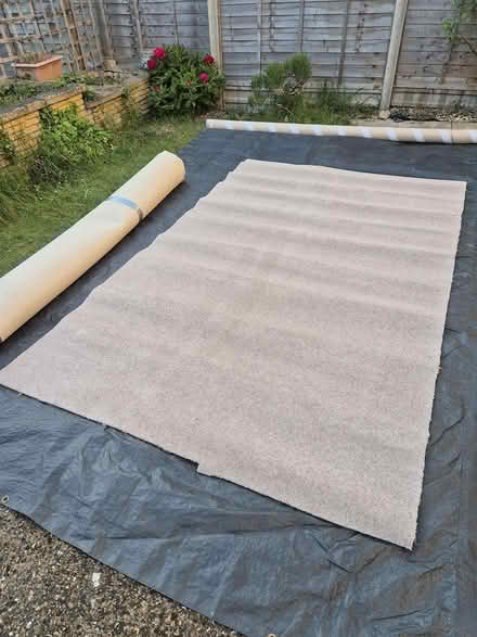 Photo of free Carpet Roll ends brand new (Baldock) #3