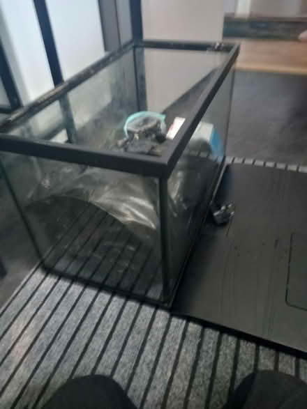 Photo of free Fish tank (Loughborough LE11) #2