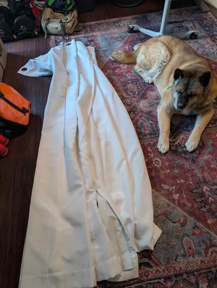 Photo of free Curtains -- two sets with rods (Folsom) #4