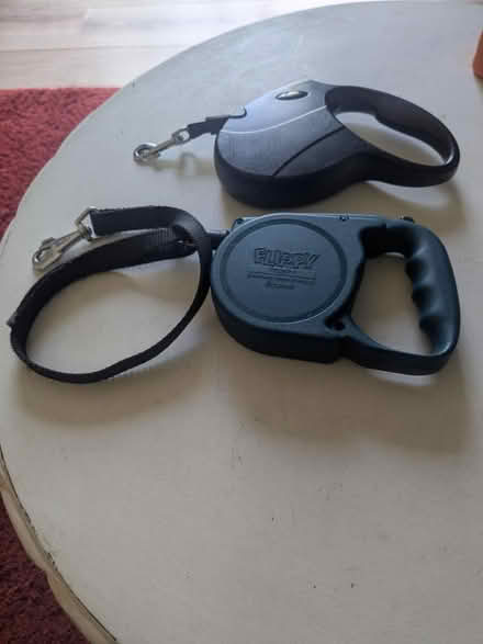 Photo of free Dog leads and coat (Winton BH9) #1