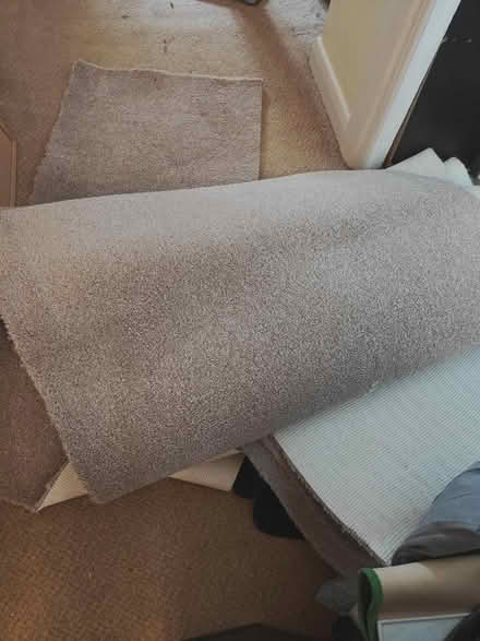 Photo of free Brand new carpet cut offs Mushroom colour (Addiscombe CR0) #1