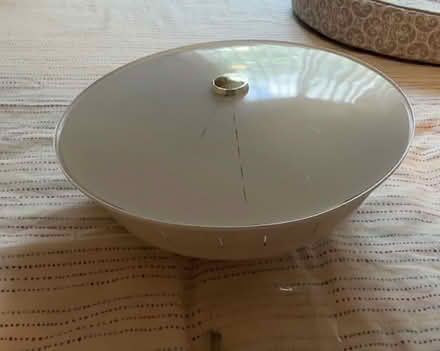 Photo of free Retro ceiling light from 80's (Western Dearborn) #1